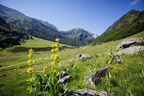 paysage Ariège